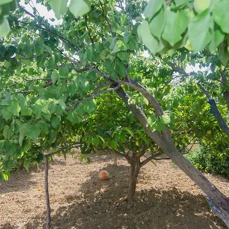 Marina's House דירה