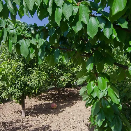 Marina's House דירה Khelmáta