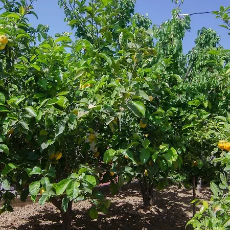 Apartment Marina's House